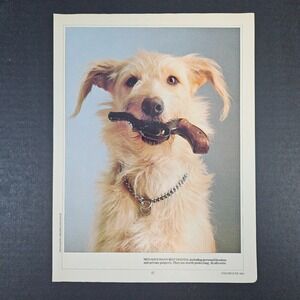 1983 Photograph Magazine Page Dog/Pistol Phillipe-Louie Houze Man's Best Friends
